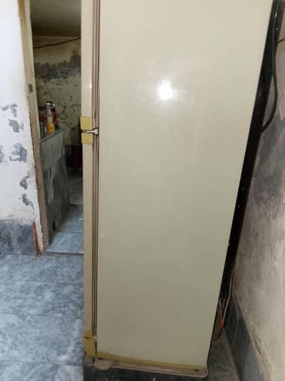 fridge