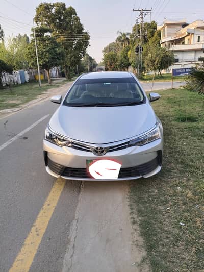 Excellent Gli new shape