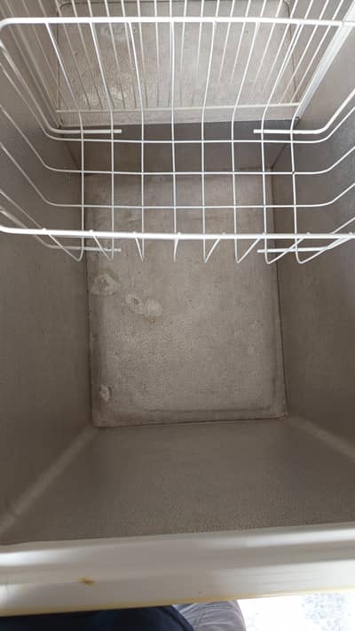 Large Deep Freezer Waves (used)