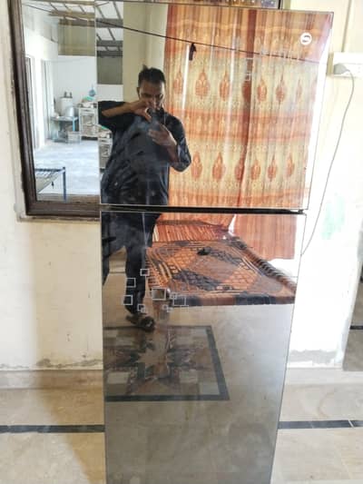 pel frig  two doors