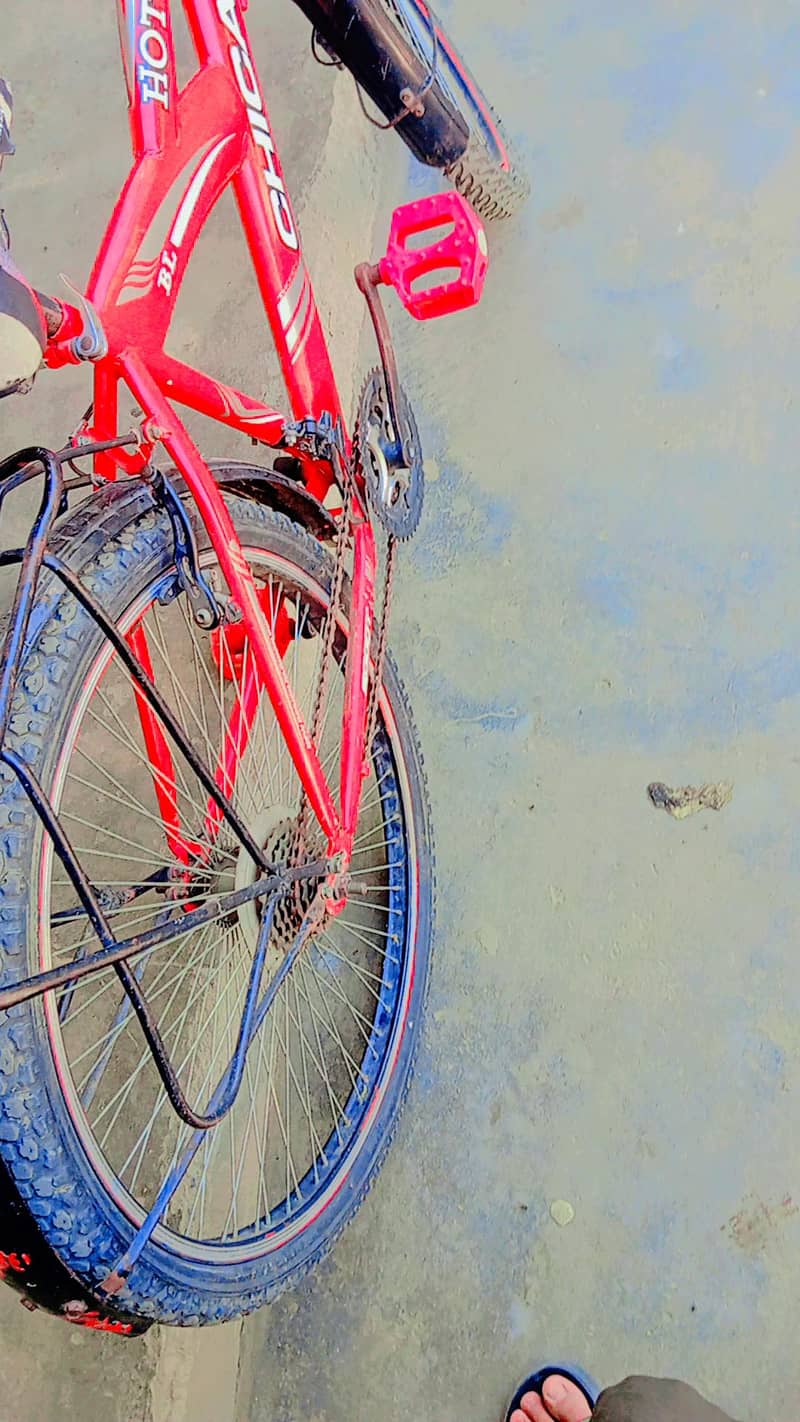 bicycle 2
