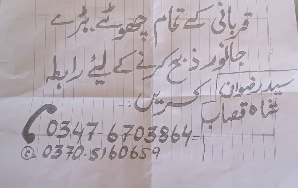 ے راولپنڈی اور اسلام آباد میں قربانی کے جانور زبح کروانے کیلئےرابطہ کر 0