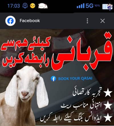 Qasai