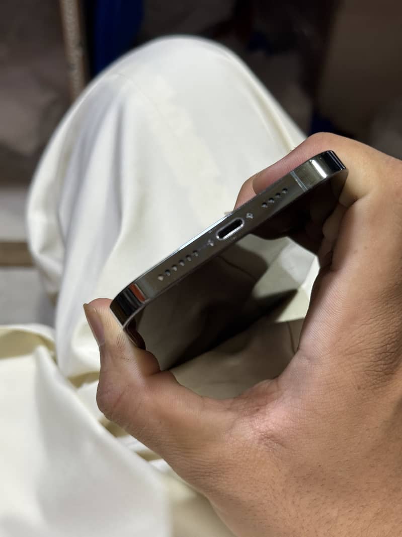 Apple iPhone 13 Pro Max 1