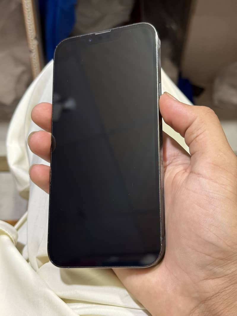 Apple iPhone 13 Pro Max 6