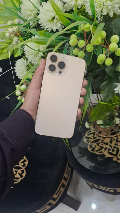 Apple iPhone 13 Pro Max