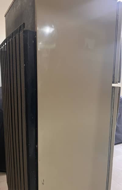 PEL Fridge 10/10