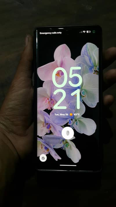 Google pexal 6 pro