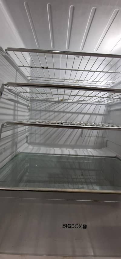 Large Size Refrigerator