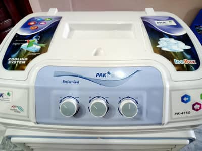 pak Fan Ac/DC inverter room air cooler