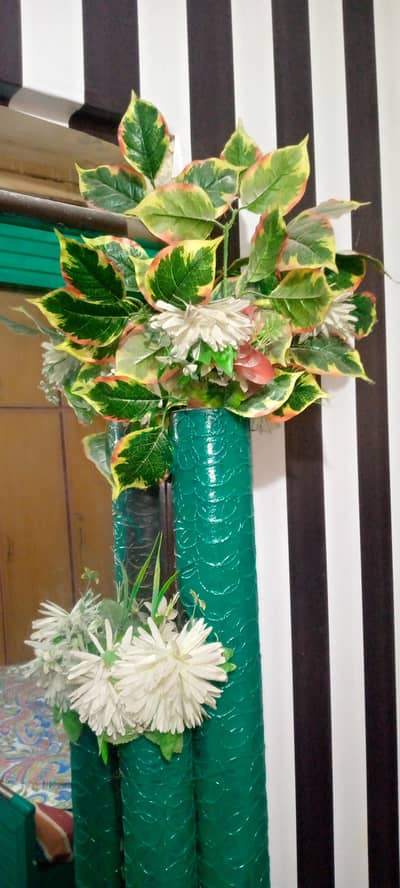 brand new condition indoor plants