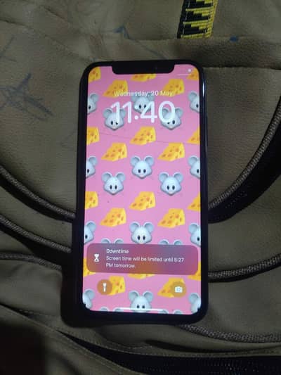 Apple iPhone X