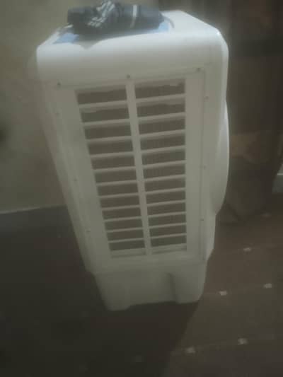 urgent sell room collar used for 6 month all ok in wornty 10 year