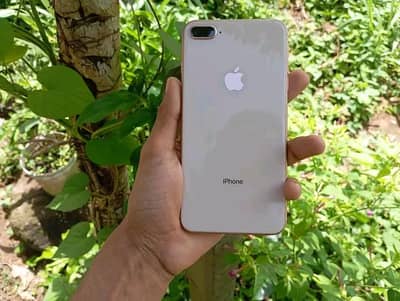 Iphone 8plus pta approved 256gb My Whatsapp number 0348-55-58-176