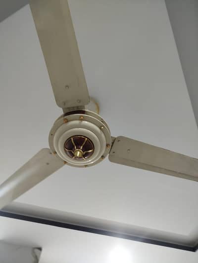 royal, hina & opal brand ceiling fan for sale