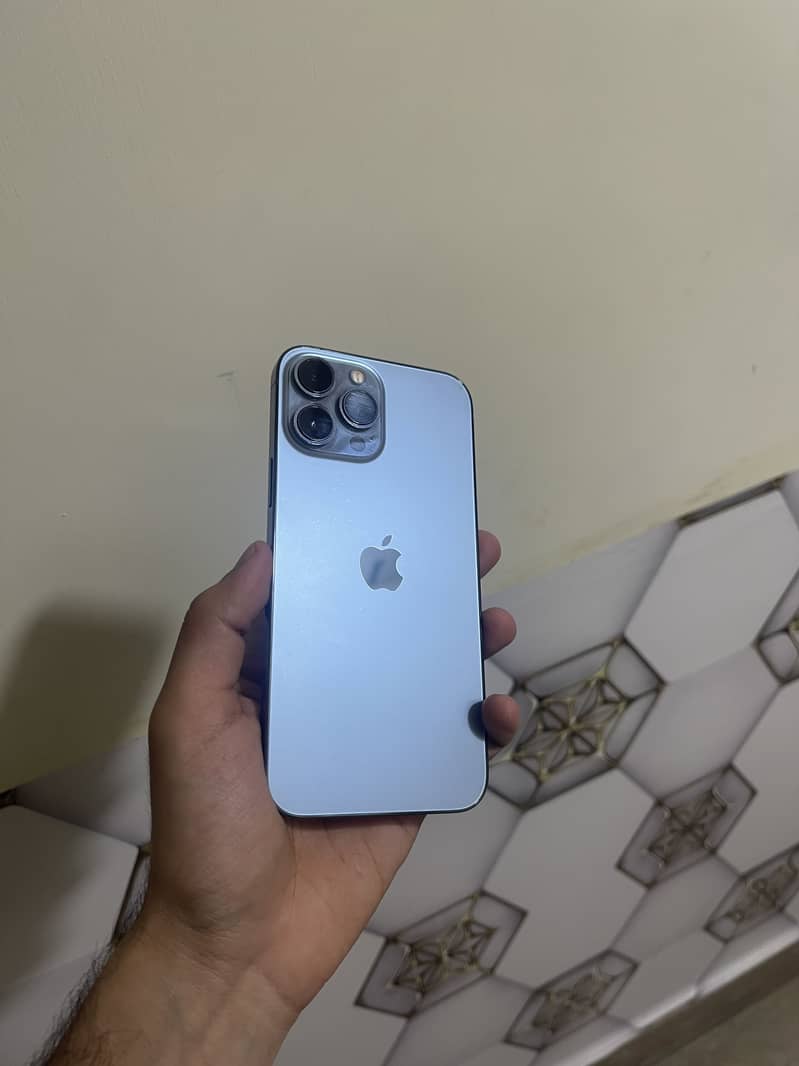 Apple iPhone 13 Pro Max 1