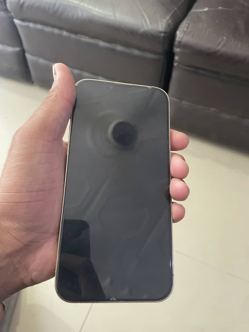Iphone 13 pro max 1