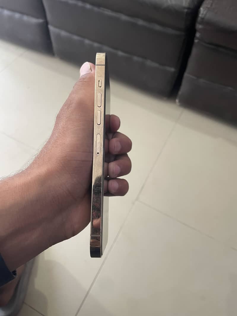 Iphone 13 pro max 2
