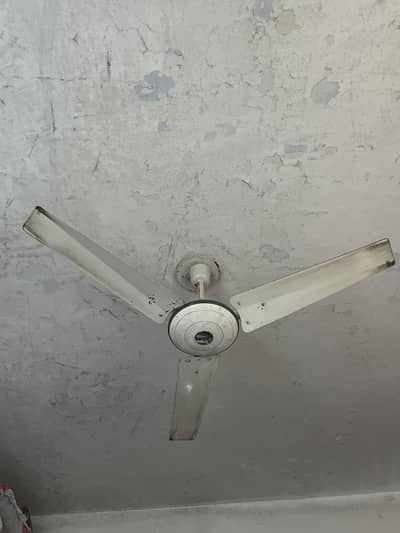 Fan for sale copper wiring