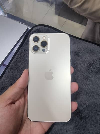 Apple iPhone 12 Pro Max