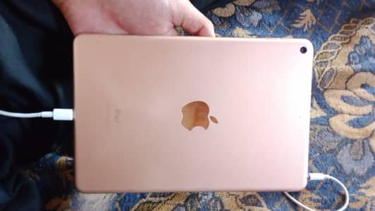 i pad mini 5 (64 gb)