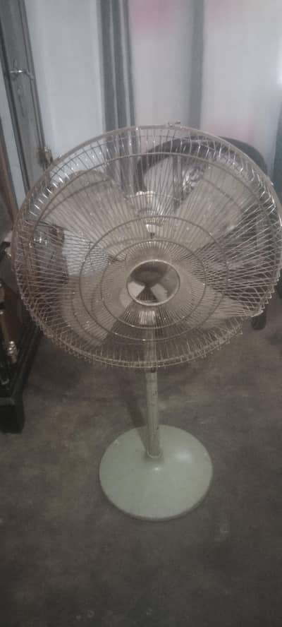 Mercedes fan