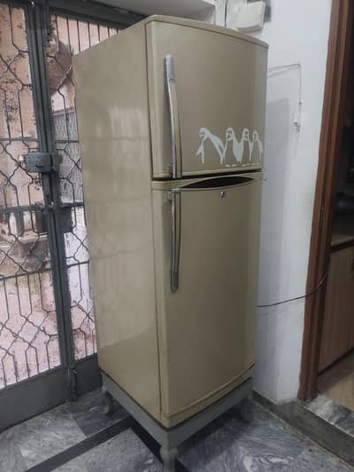 Waves Fridge Refrigerator