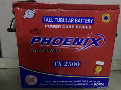 Phonix tall tubular battery