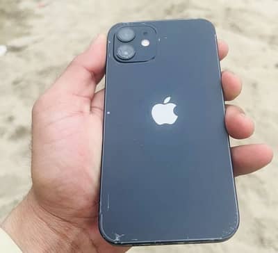 iPhone 12