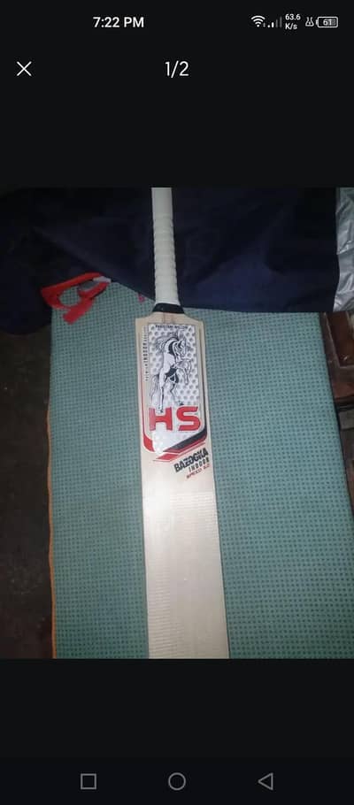 new cricket Kashmir willo bat