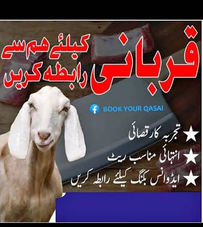 Qasai available kam rate main