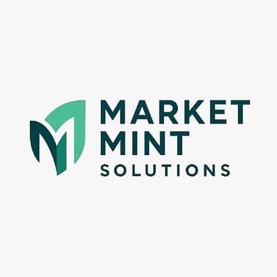 Professional Web Development Services In Pakistan|Market Mint Solution