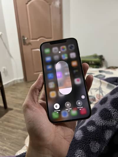Apple iPhone 12 Pro Max PTA