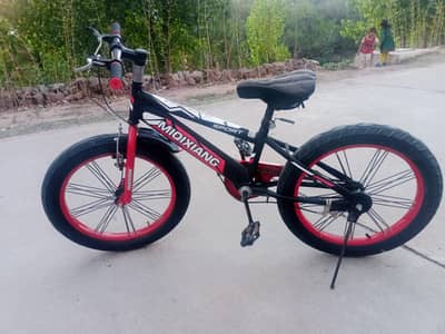 cycle