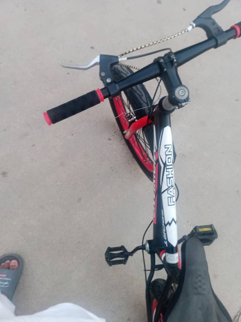 cycle 2