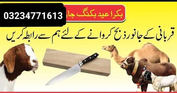 qasai available lahore