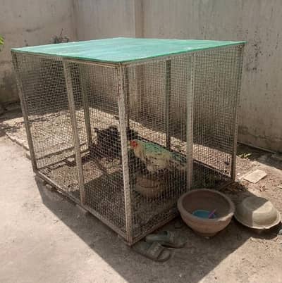 Heavy Duty Hens Cage