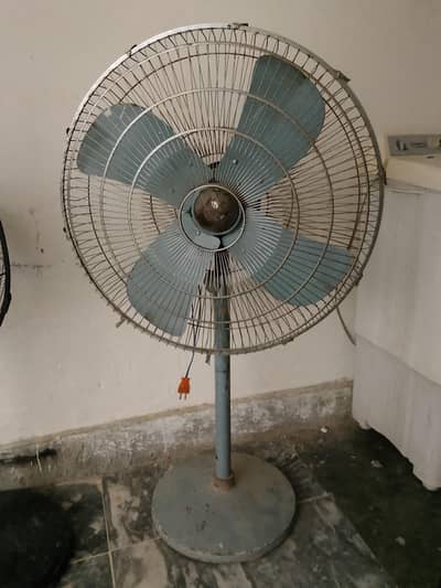 fan by sale