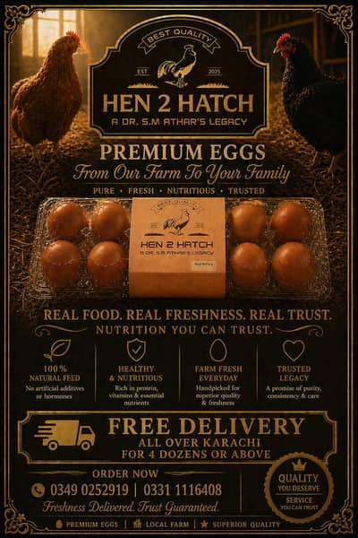 Lohmann Brown Eggs