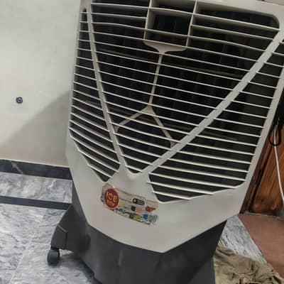 Prime 12 volt cooler for sale.