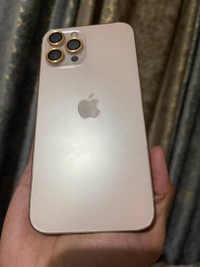 Apple iPhone 12 Pro Max
