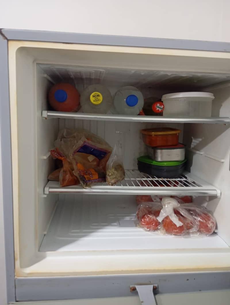 fridge 4