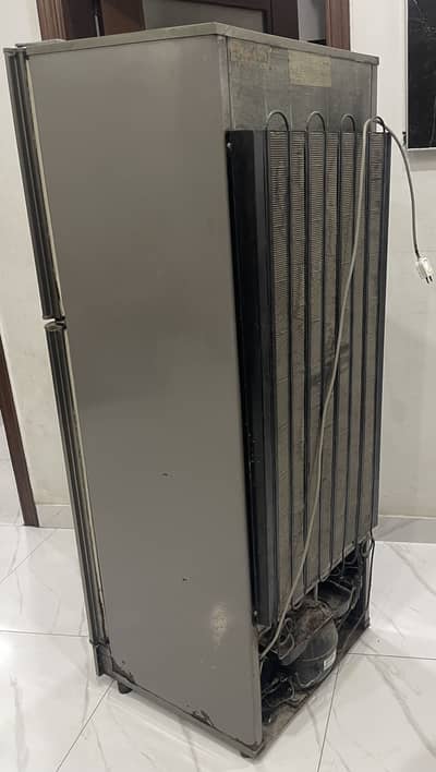 Pel Medium Size Refrigerator