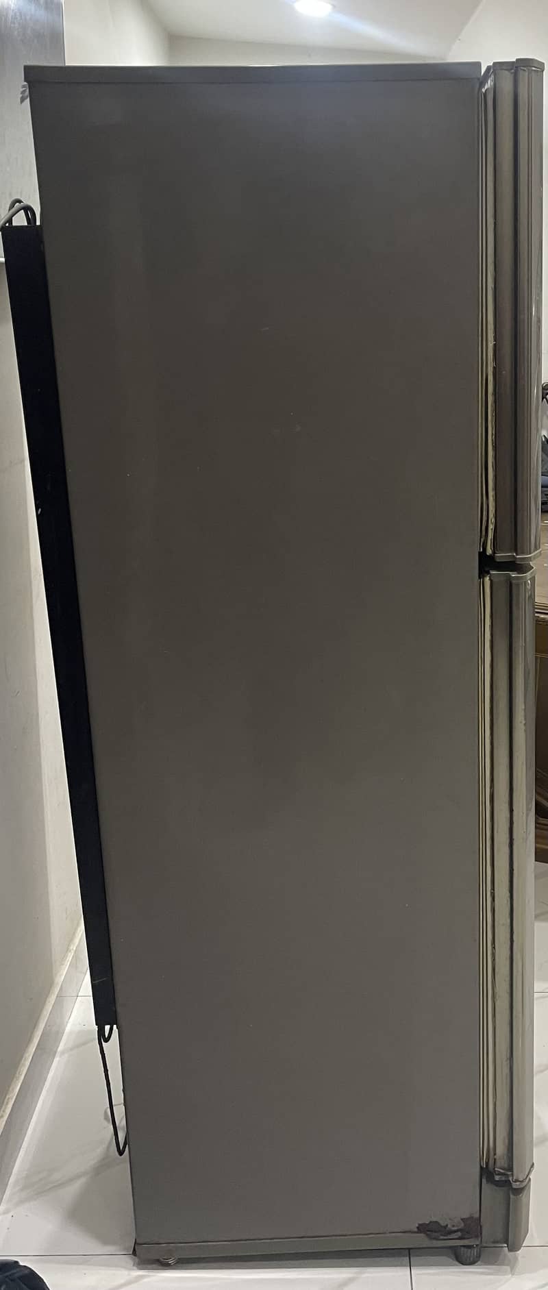 Pel Medium Size Refrigerator 4