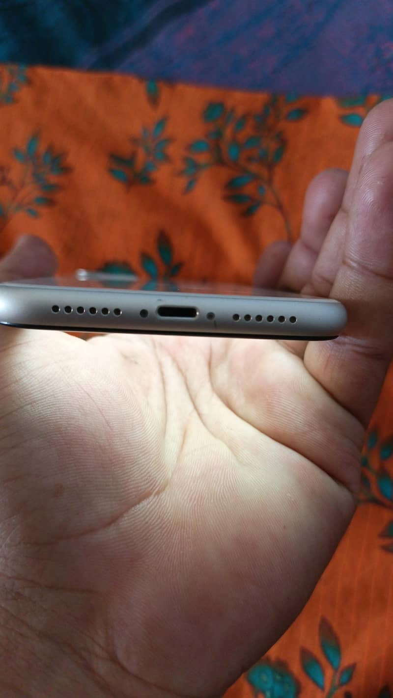 Apple iPhone 11 4