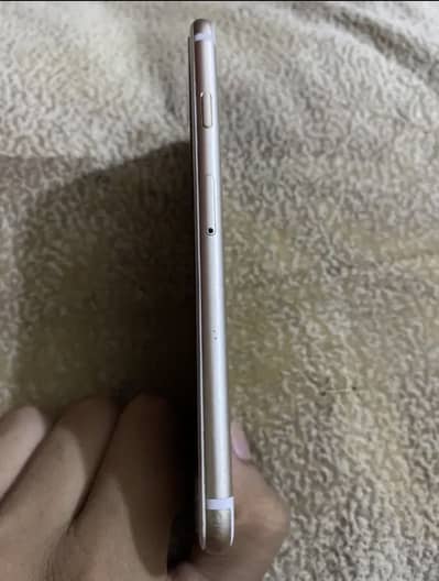 Iphone 6 pta