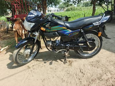 Honda paridor 2023 all punjb number. . . . total janion