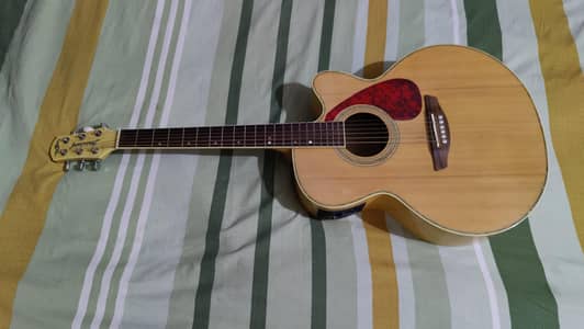 semi acoustic guitar