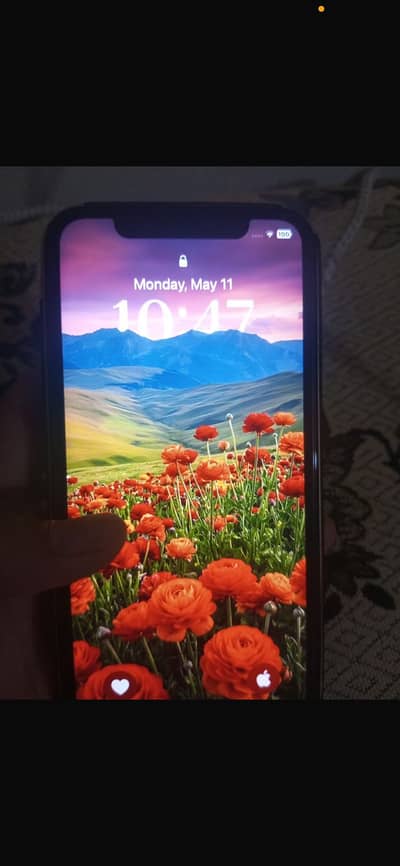 IPhone XR convert to 11