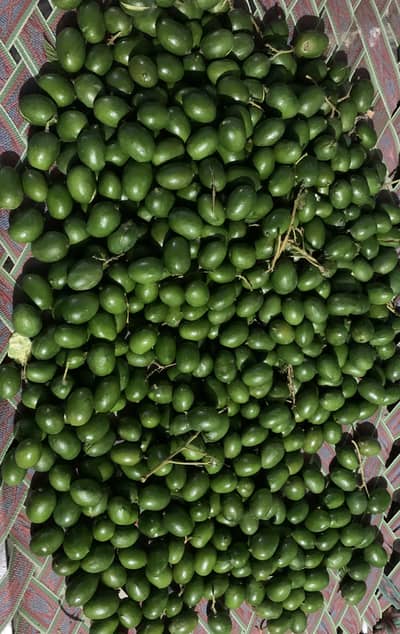 Achari mango (kacha aam)